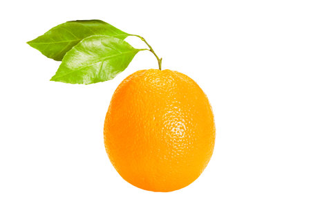 Citrus fresh fruits isolated, juicy ripe orange still life