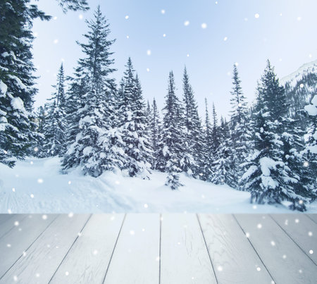 Winter Christmas scenic landscape . Wooden flooring strewn with snow in forest with fir-trees covered with snow on nature with copy space