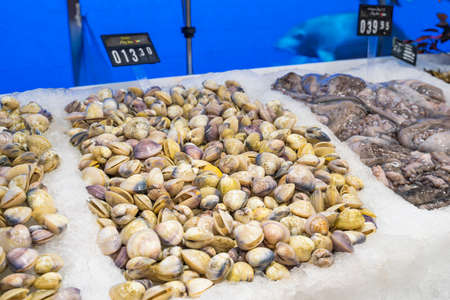 Clams in the Fish Counter of a supermarketの写真素材