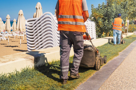 gardener mows the lawn. Landscaping. Lawn mowing with a lawn mower.
