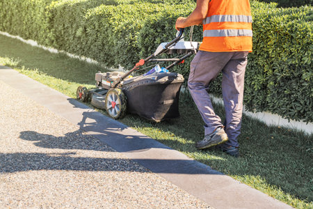 gardener mows the lawn. Landscaping. Lawn mowing with a lawn mower.
