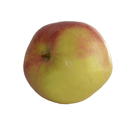 Golden yellow, ripe and aromatic Apple with Golden deliciousの写真素材