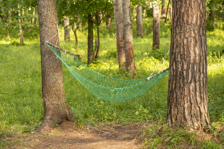 Hammock swing for relaxation and sleep stretched between two pinesの写真素材