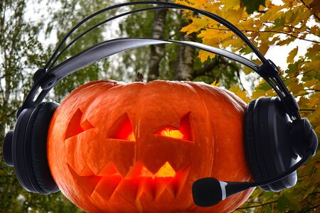 Orange pumpkin for Halloween day with different characters like skeleton centipede spider web bats crows and flies on different backgroundsの写真素材