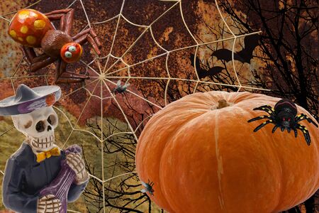 Orange pumpkin for Halloween day with different characters like skeleton centipede spider web bats crows and flies on different backgroundsの写真素材