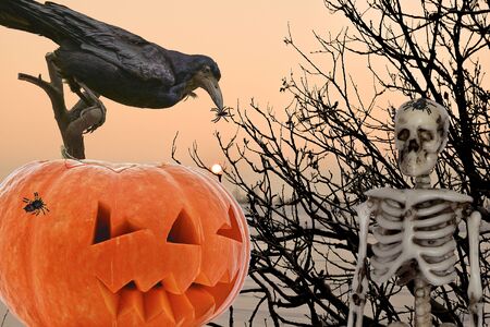 Orange pumpkin for Halloween day with different characters like skeleton centipede spider web bats crows and flies on different backgroundsの写真素材