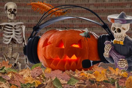 Orange pumpkin for Halloween day with different characters like skeleton centipede spider web bats crows and flies on different backgroundsの写真素材
