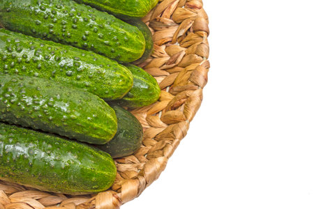 Fresh cucumbers in basket on wood,cucumbers in a basket,ripe vegetables,white backgroundの写真素材