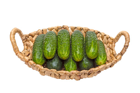 Fresh cucumbers in basket on wood,cucumbers in a basket,ripe vegetables,white backgroundの写真素材