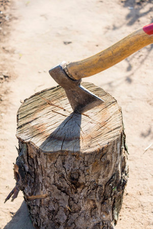Ready for cutting timber. Close-up of axe cutting log while other logs laying in the backgroundの写真素材