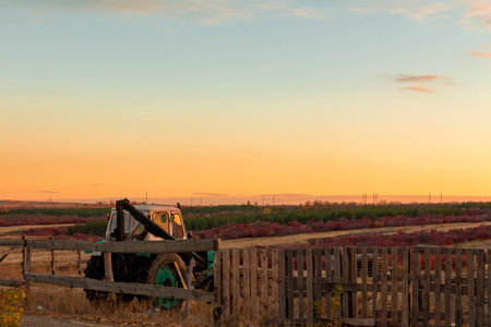 Farm. The green field and a tractor behind a fenceの写真素材