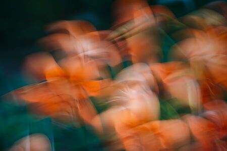 Abstract spring flowers in motion backgroundの写真素材