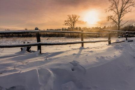 Winter landscape. Winter wood and lake covered with iceの写真素材