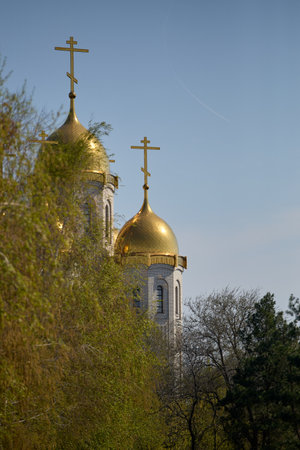 the church behind the trees, birds in the sky, golden domesの写真素材