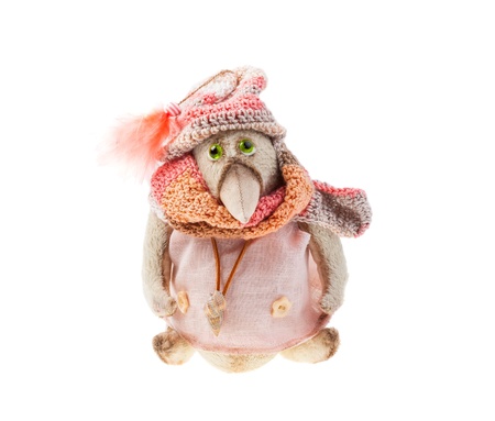 Plush bird with a knitted scarf and hat isolated on white backgroundの写真素材