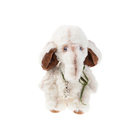 Teddy white elephant teddy white elephant isolated on white backgroundの写真素材