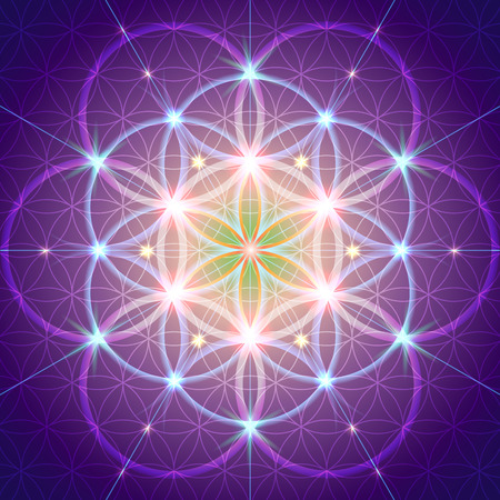 Symbols of sacred geometry, depict fundamental aspects of space and time.Flower of life symbol variations.のイラスト素材