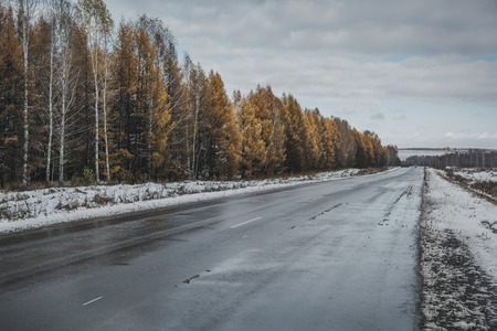 Way home on the first snowの写真素材