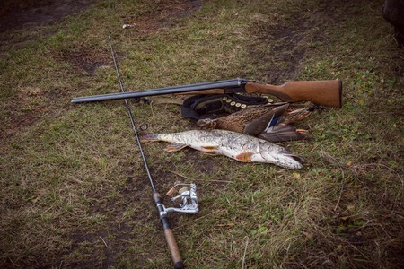 Guns, ammo bag and trophy hunter on the grassの写真素材