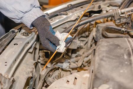 The man checks oil level in the car. Check of technical liquids of the car.の写真素材