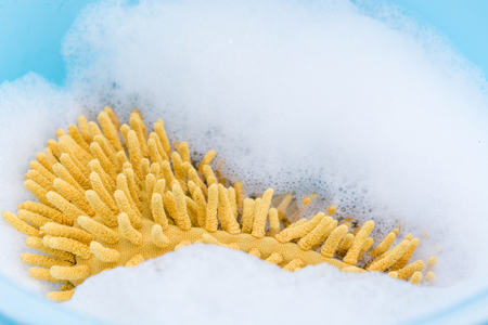 sponge in with foam in a bucket. a sponge in soap water. soap water and a sponge for washingの写真素材
