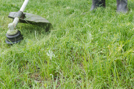 the man mows a grass. To mow a grass with the trimmer. Trimer mows a lawn. Care of a lawn.