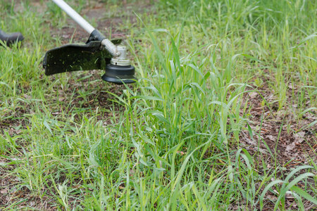 the man mows a grass. To mow a grass with the trimmer. Trimer mows a lawn. Care of a lawn.