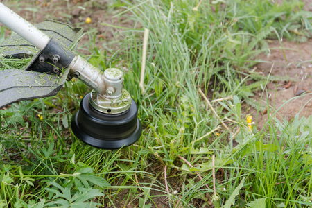 the man mows a grass. To mow a grass with the trimmer. Trimer mows a lawn. Care of a lawn.の写真素材