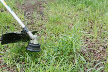 the man mows a grass. To mow a grass with the trimmer. Trimer mows a lawn. Care of a lawn.