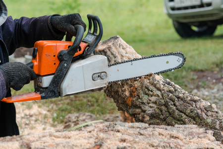 To saw a tree gasoline saw. The man saws a tree. The forester with a saw.gasoline sawの写真素材