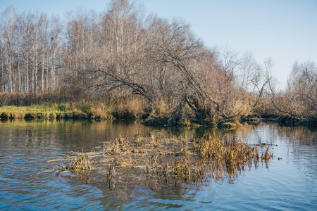 Pond with clean water in Russia in a provincial town