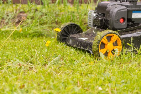 Lawn mower. Mow the lawn with a lawn mower. Lawn mower on wheels.の写真素材
