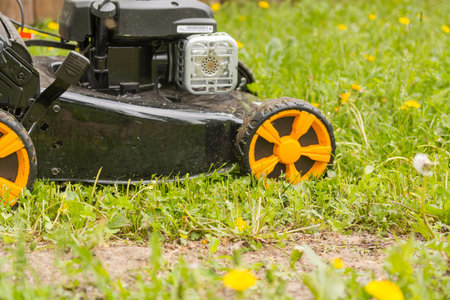 Lawn mower. Mow the lawn with a lawn mower. Lawn mower on wheels.
