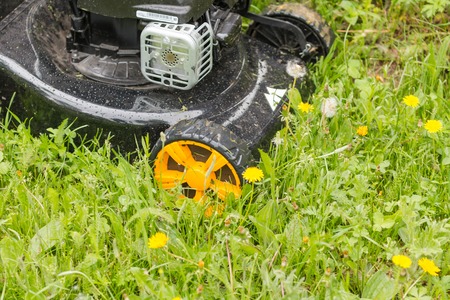 Lawn mower. Mow the lawn with a lawn mower. Lawn mower on wheels.の写真素材
