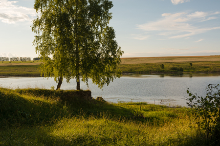 Lake in the forest. A beautiful lake in birches. Birch forest with a lake.の写真素材