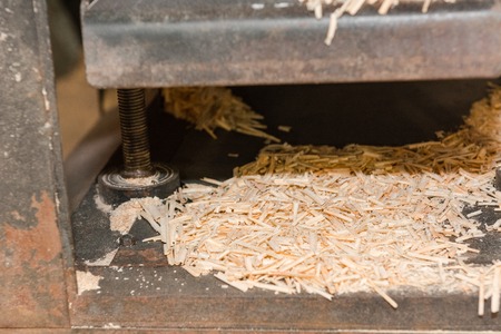 Sawdust. Timber from a tree close up. wood waste. A lot of sawdust.の写真素材