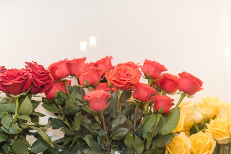 Bright beautiful roses in a bouquet. Roses in the store are sold. Beautiful fragrant gift for holidays and weddings. Natural gift. Beautiful favorite flowersの写真素材