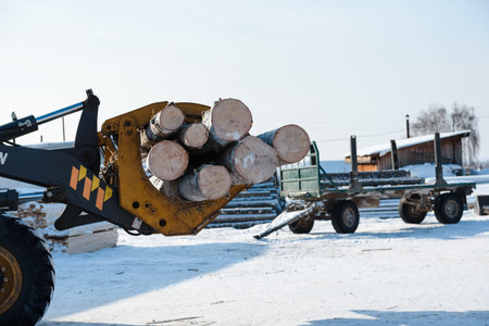 Shipping logs on a special machine. Harvest forest in winter. A sawn forest in the snow. Work on the...