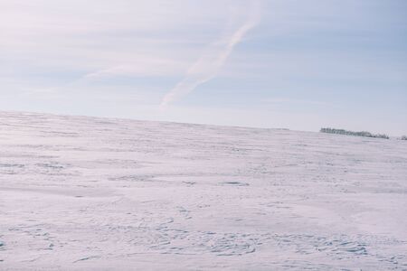 Snow-covered field. The general plan in the winter.の写真素材