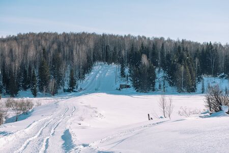 Ski trail in the forest. Traasa in the winter forest. The road for walking through the winter forest. Taiga in the winter. Tracks from the snowcat. Footprints in the snow.の写真素材