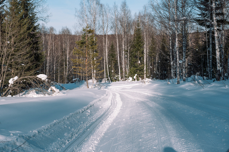 Ski trail in the forest. Traasa in the winter forest. The road for walking through the winter forest. Taiga in the winter. Tracks from the snowcat. Footprints in the snow.の写真素材