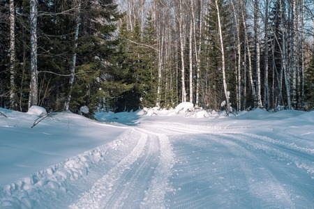 Ski trail in the forest. Traasa in the winter forest. The road for walking through the winter forest. Taiga in the winter. Tracks from the snowcat. Footprints in the snow.の写真素材