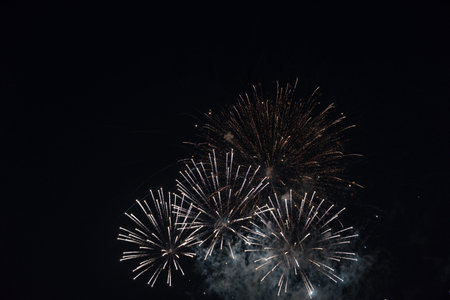 fireworks in the sky. fireworks on the black sky. closeup salute