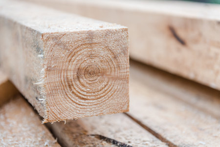 Tree structure Background. Tree closeup. Tree in the construction of the house. Construction site...