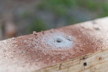 drill a hole in the board. Drill a hole in the timber. drill for wood.の写真素材