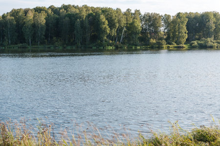 small lake in the forest. lake in Russia. to fish on the lake. beautiful landscape. admire the lake....