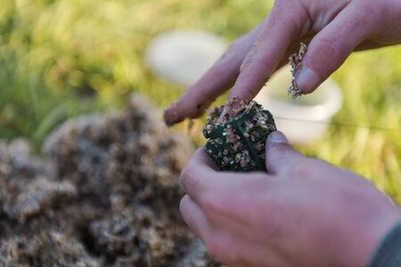 fishing trough. collect feed in a fishing trough. cook fishing tackle. gear for fishing in the summer.の写真素材