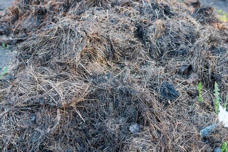 Manure bed. Organic fertilizers. Grow vegetables. Natural fertilizers. Countryside. Grow vegetables in the garden. Grow in the ground.の写真素材