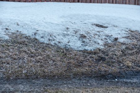 Spring is on the street. Dirty snow. Snow melts. Spring weather. Close up of dirty snow.の写真素材