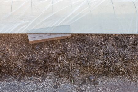 Manure bed. Organic fertilizers. Grow vegetables. Natural fertilizers. Countryside. Grow vegetables in the garden. Grow in the ground.の写真素材